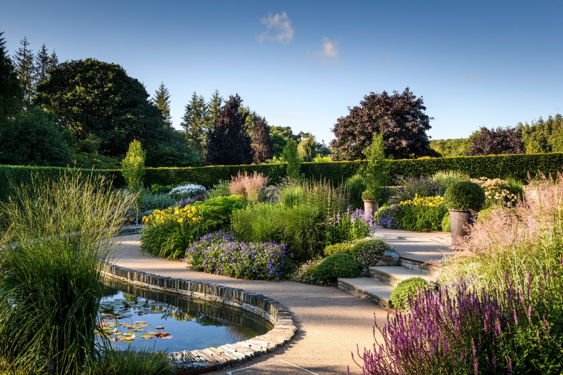 RHS Rosemoor Garden